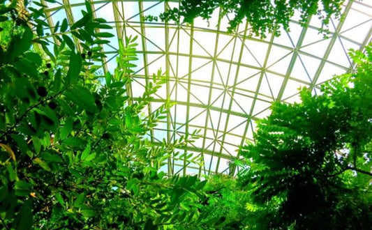 植物園のすすめ