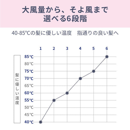 【クリアランスセール】モイストヘアケアドライヤー Kozou d1621PK